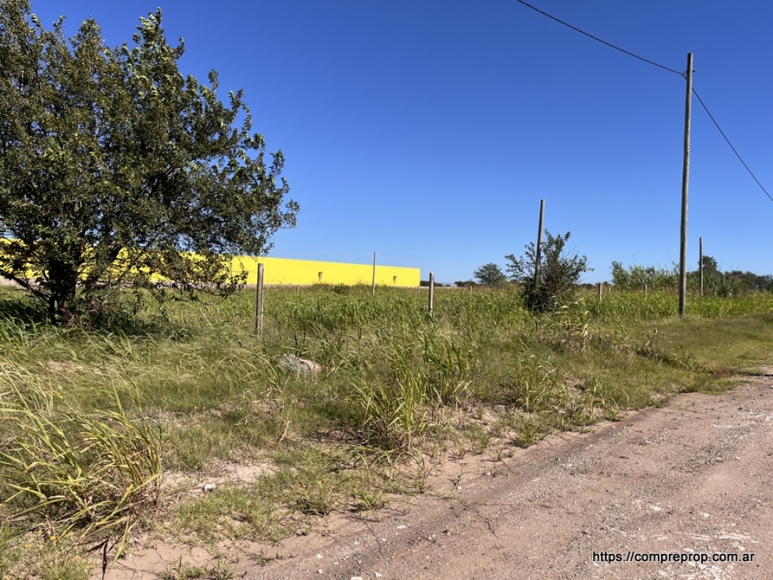 AV JAPN TERRENO INDUSTRIAL 1 HECTAREA