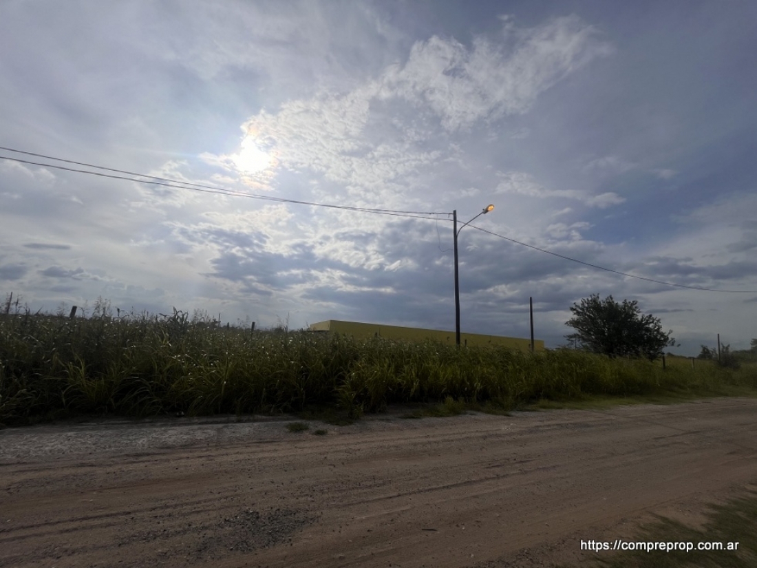 AV JAPN TERRENO INDUSTRIAL 1 HECTAREA