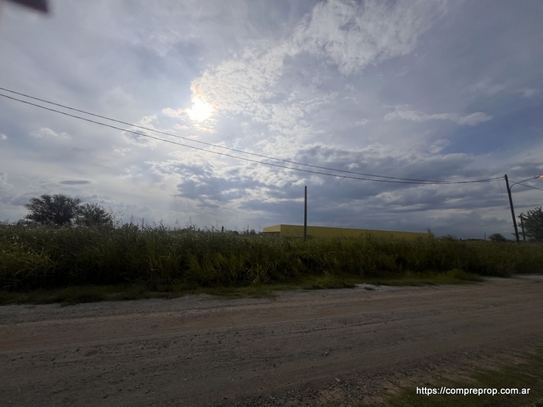 AV JAPN TERRENO INDUSTRIAL 1 HECTAREA