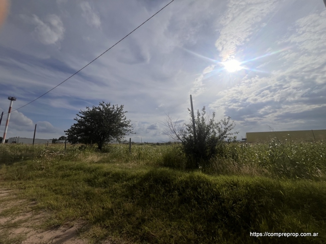 AV JAPN TERRENO INDUSTRIAL 1 HECTAREA