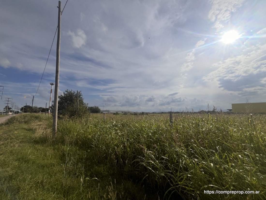 AV JAPN TERRENO INDUSTRIAL 1 HECTAREA