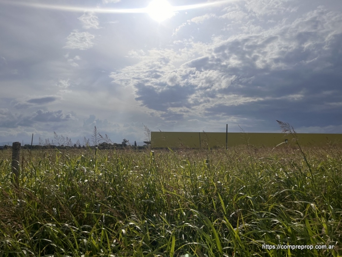 AV JAPN TERRENO INDUSTRIAL 1 HECTAREA