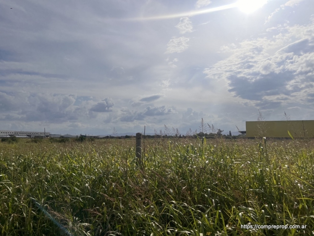 AV JAPN TERRENO INDUSTRIAL 1 HECTAREA