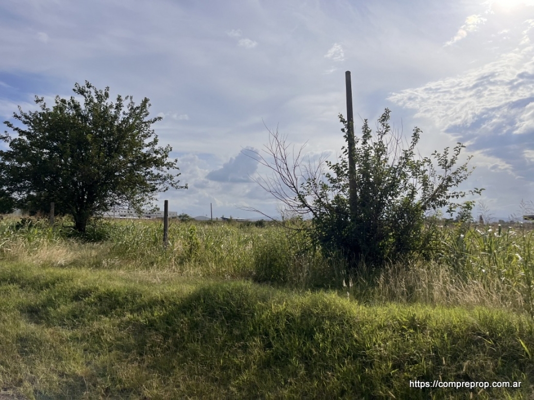 AV JAPN TERRENO INDUSTRIAL 1 HECTAREA