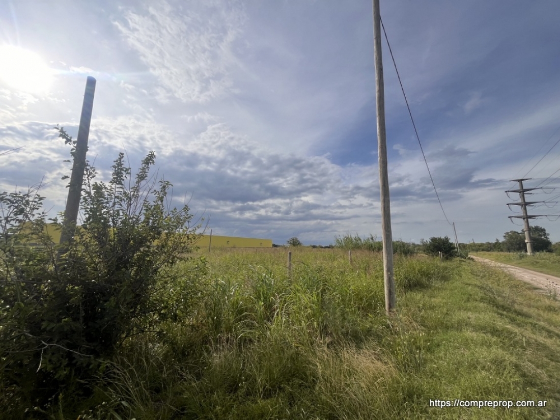 AV JAPN TERRENO INDUSTRIAL 1 HECTAREA