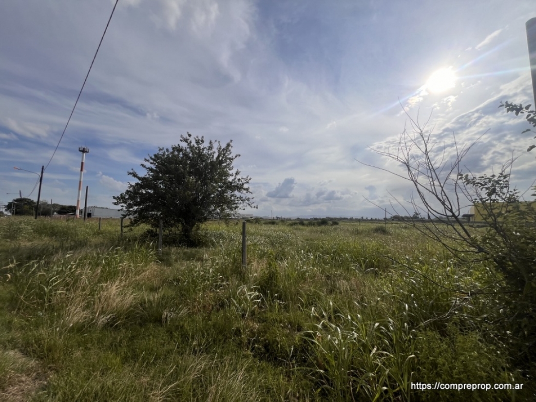 AV JAPN TERRENO INDUSTRIAL 1 HECTAREA