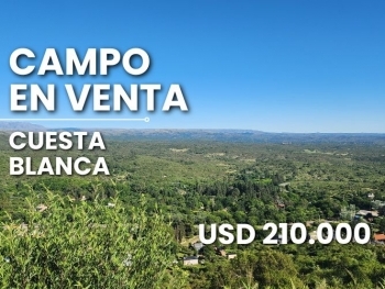 CAMPO EN VENTA EN ICHO CRUZ CUESTA BLANCA 