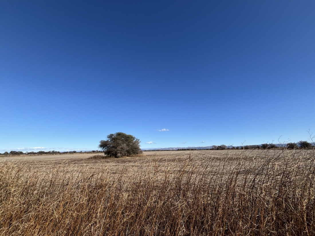 JUAREZ CELMAN CAMPO EN VENTA APTO LOTEO URBANO