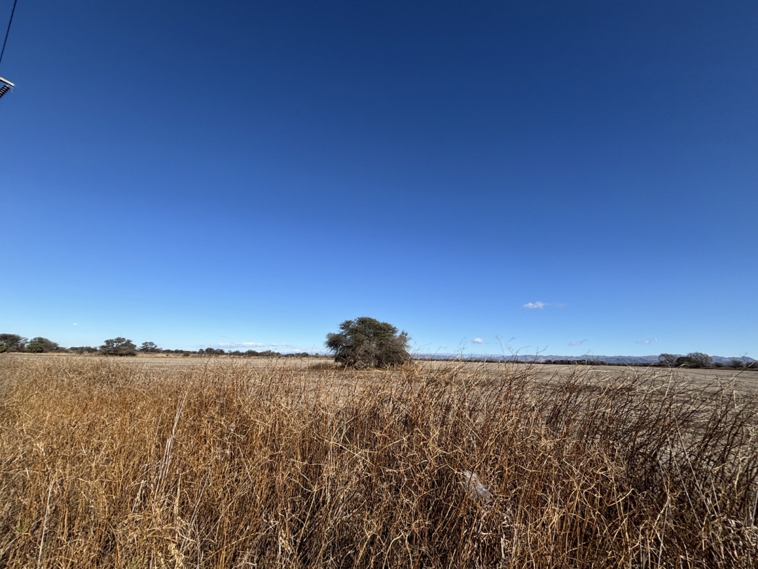 JUAREZ CELMAN CAMPO EN VENTA APTO LOTEO URBANO