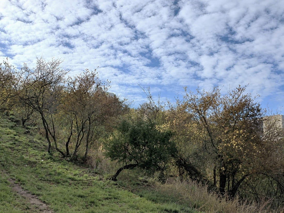 TERRENO EN VENTA EN LA DESEADA COUNTRY, LA CALERA | 1008 m�
