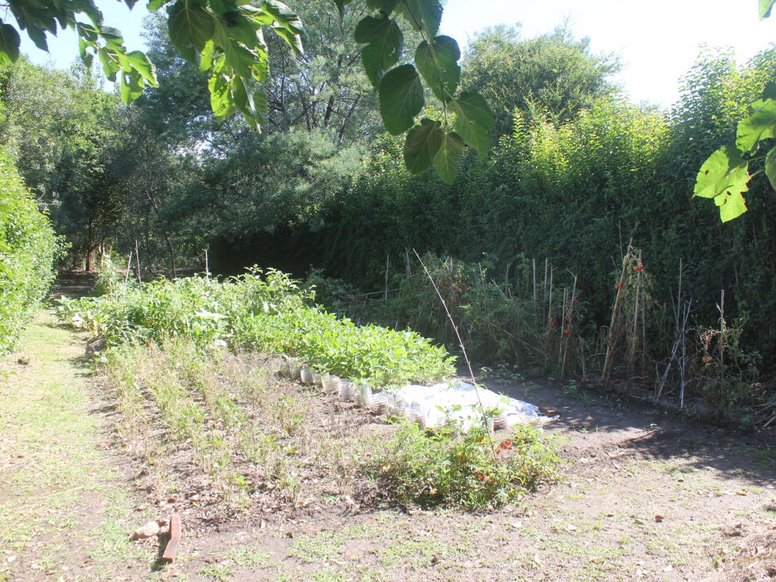 VENTA COMPLEJO TURSTICO EN LOS MOLLES- VILLA LAS ROSAS-TRASLASIERRA 